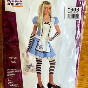 ALICE Costume